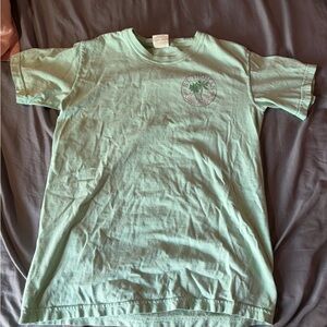 Comfort Colors Mint Crewneck Tee with Tag Detail